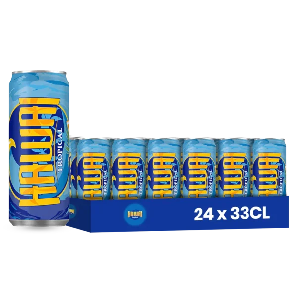 Hawaï – Pack de 24 Canettes 33 cl | Grossiste Boissons et épiceries France | DESTOCK BREIZH DISTRIBUTION