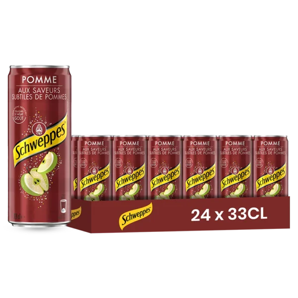 Schweppes pomme – Pack de 24 Canettes 33 cl | Grossiste Boissons et épiceries France | DESTOCK BREIZH DISTRIBUTION
